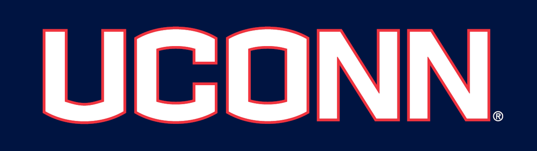 UConn Huskies 2013-Pres Wordmark Logo 05 iron on paper